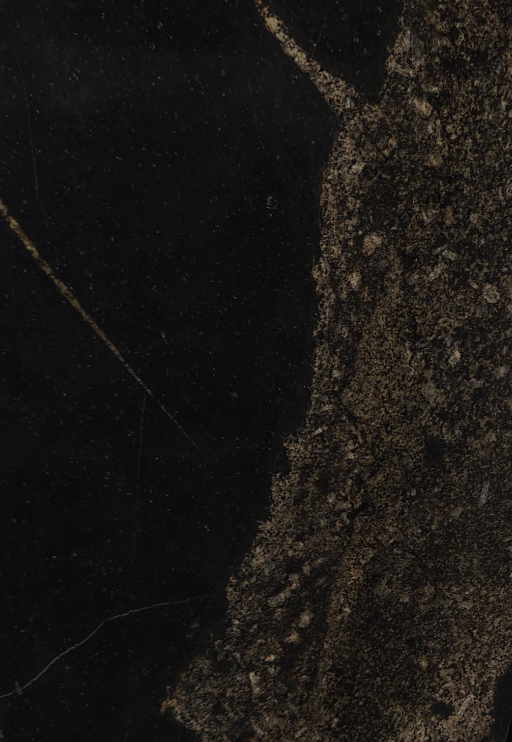 Golden Portoro Marble